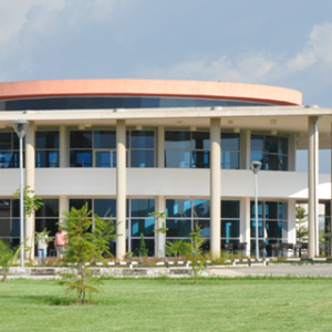 Hawassa University